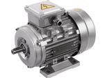 Motore Elettrico, Potenza 0,75 Kw, Tensione 380 V, Velocità 1400 Giri/Min, Protezione IP55, Rame Puro Materiale