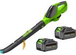 Soffiatore A Batteria, Motore Brushless, Controllo Della Velocità Regolabile, 2 Batterie, Ue