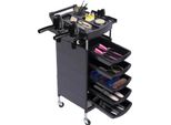 Carrello Per Attrezzi Di Bellezza, 6 Livelli, 5 Cassetti, 4 Ruote Piroettanti, Capacità Di Carico 30 Kg, Acciaio Inox + Abs