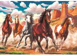 Art Puzzle Puzzle Cavalli Selvaggi Nella Valle 1000 Pezzi