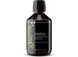 Zinzino Balanceoil+ Premium - Con Omega-3, Omega-9 E Vitamina D3