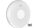 Aroha Link Rilevatore Di Fumo E Monossido Di Carbonio Interconnesso - Batteria Da 10 Anni - Allarme Antincendio & Monossido Di Carbonio Collegabile