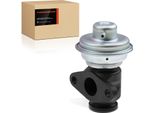 Frankberg 1X Valvola Egr Valvola Di Ricircolo Dei Gas Di Scarico Per Opel Movano Combi Renault Clio Ii Laguna I I Grandtour Master Ii