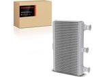 Frankberg 1X Scambiatore Di Calore Riscaldatore Interno Per Bmw Serie 5 E60 E61 6ER E63 E64