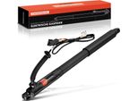 Frankberg 1X Gas Molla Elettrica Portellone Posteriore Sinistro Per Bmw X5 E70 Suv 2007-2013