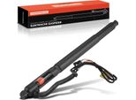 Frankberg 1X Gas Molla Portellone Posteriore Elettrico Sinistra Per Bmw X6 E71 E72 2007-2014