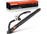 Frankberg 1X Gas Molla Portellone Posteriore Elettrico Destra Per Bmw X6 E71 E72 2007-2014