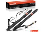 Frankberg 2X Gas Molla Portellone Posteriore Elettrico Sinistra E Destra Per Bmw X5 E70 Suv 2007-2013