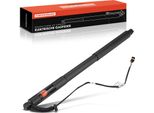 Frankberg 1X Gas Molla Portellone Posteriore Elettrico Sinistra O Destra Per Porsche Panamera 971 Anno Dal 2016/05
