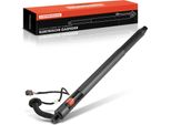 Frankberg 1X Gas Molla Portellone Posteriore Elettrico Sinistra O Destra Per Volvo XC90 Ii 256 2.0L 2014-2020