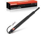 Frankberg 1X Gas Molla Portellone Posteriore Elettrico Sinistra O Destra Per Bmw Serie 3 Touring Van G21 G81 2.0L 3.0L