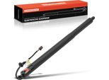 Frankberg 1X Gas Molla Elettrica Portellone Posteriore Sinistro Per Hyundai Tucson NX4A NX4E Anno Dal 2020