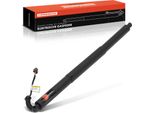 Frankberg 1X Portellone Posteriore Elettrico Con Molla A Gas A Sinistra O A Destra Per Skoda Octavia Iv Combi NX5