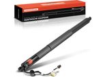 Frankberg 1X Gas Molla Portellone Posteriore Elettrico Sinistra O Destra Per Porsche Macan 95B 2014-2017