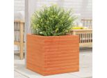 Maison Exclusive - Fioriera Giardino Marrone Cera 50X50X46 Cm Legno Massello Pino