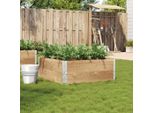 Maison Exclusive - Fioriera Da Giardino 100X100 Cm In Legno Massello Di Pino