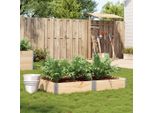 Maison Exclusive - Fioriera Da Giardino 150X100 Cm In Legno Massello Di Pino