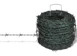 Filo Spinato, Filo Piatto, Filo Di Ferro Verde 100 M