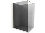 Mexen Kioto Parete Doccia Walk-In 140 X 200 Cm, Grafite 8 Mm, Oro - 800-140-101-50-40