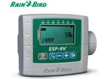 Rain Bird ESP-9V4 - Centralina Da Pozzetto A 4 Stazione