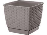 Vaso Da Fiori 22Cm Ratolla Square DRLK220-7529U Mocca Plastica Prosperplast
