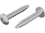 Vidaxl Chiodo Autofilettante 2 Pezzi Acciaio Zincato 4 X 25 Mm