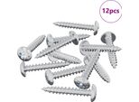 Vidaxl Chiodo Autofilettante 12 Pezzi Zincato 4 X 25 Mm
