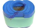 Filtro Aria Per Briggs & Stratton ( 792105 ) 127X 70X 118X 60