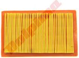 Filtro Aria Per Kohler ( 14 083 01-S) 144X88X24