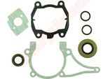 Guarnizioni + Paraoli Per Stihl Ts700 , Ts800 ( 4224 007 1012 )