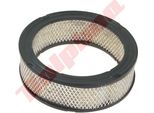 Filtro Aria Per Briggs & Stratton ( 394018 , 392642 ) 178X140X57