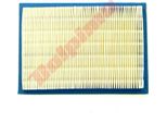 Filtro Aria Per Briggs & Stratton ( 397795 , 395027 ) 165X114X19