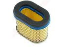 Filtro Aria Per B&S ( 692446 )