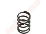 Molla Della Valvola Per Honda Gx 35 ( 14751-Z0Z-000 )
