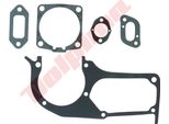 Guarnizioni Per Husqvarna 395 (503 47 17-01)