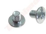 Vite Carburatore Per Walbro Wt M3X0,5X4,5Mm ( 96-156 )