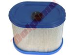 Filtro Aria Per Briggs & Stratton ( 695302 ) 120X10X88