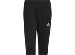 Adidas Pantaloni Entrada 22, HB0576, Taglia: 176