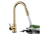 Rubinetto Da Cucina, Struttura In Ottone, Funzione Spray Estraibile, Oro Spazzolato
