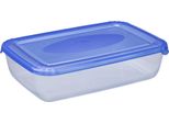 Plast Team 16710805 Plast Team Polar Barattolo Per Congelatore, 0,90 Litri, Blu, Rettangolare