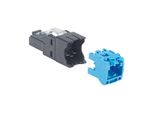 Panduit FP6X88MTG Chiave Di Violino-Modulo
