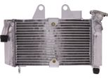 Radiatore Acqua Jmp 2019040115 Per Honda Xl 125