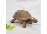 Modello Di Animale, Giocattolo Educativo, Animale Di Simulazione, Giocattolo Per L'educazione Precoce, Regalo Per Bambini