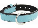 Collare Per Cani Gloria Imbottitura Blu (50 X 2,5 Cm)
