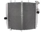 Radiatore Acqua Jmp TRS-R-603 Per Kawasaki