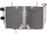 Radiatore Acqua Jmp TRS-R-507 Per Ducati
