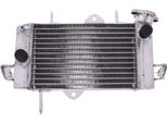 Radiatore Acqua Jmp 2019040121 Per Yamaha YZF-R 125