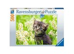 Gattino Nel Prato Ravensburger 17378