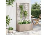 Maison Exclusive - Fioriera Con Griglia Rampicante Marrone Chiaro 80X36X140 Cm Pp