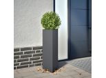 Best MöBel Fioriera Antracite Triangolare 30X26X75 Cm Acciaio - Letti Cloris New9895802 1Pacco